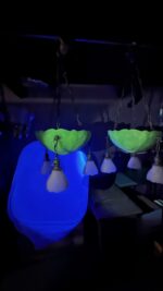 Pair of Art Deco Neoclassical Revival Chandeliers with UV Reactive Glass Bowl Shades & Pendant Drops - Image 38